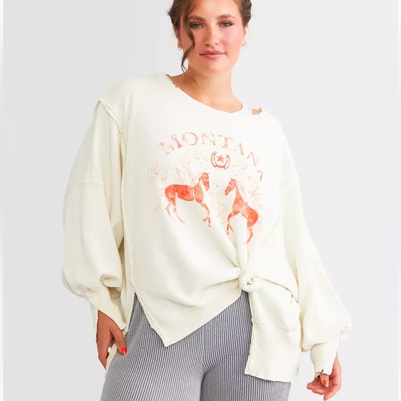 Free People Montana Graphic Camden Oversized Sweatshirt Size Small - Picture 4 of 14